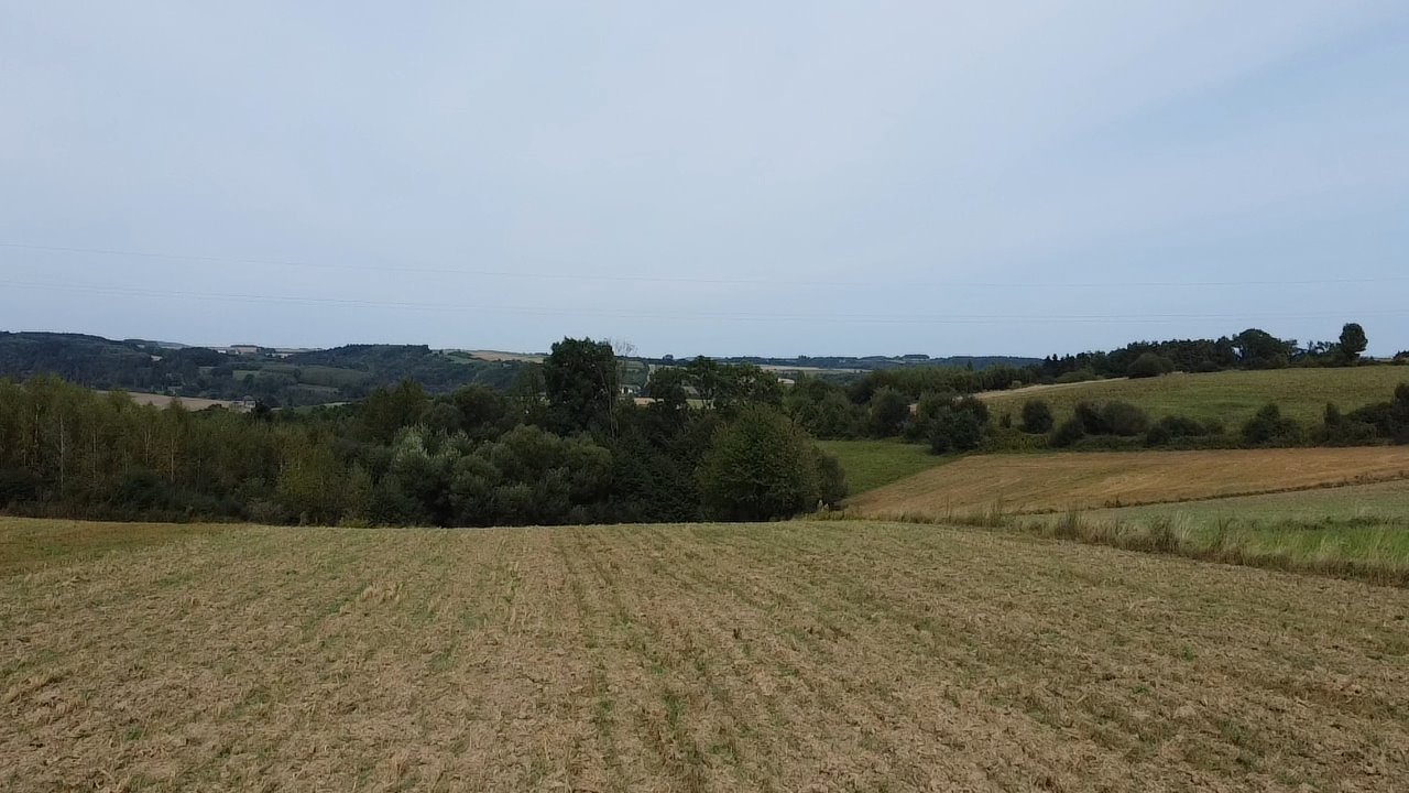 Działka budowlana na sprzedaż Binarowa  2 200m2 Foto 5