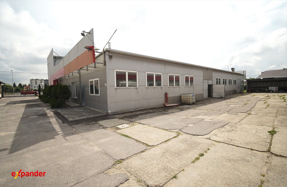 Zdjęcie 8