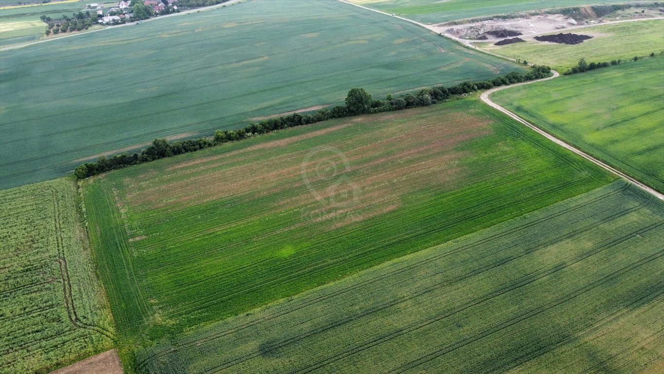 Działka rolna na sprzedaż Sędzice  26 950m2 Foto 1