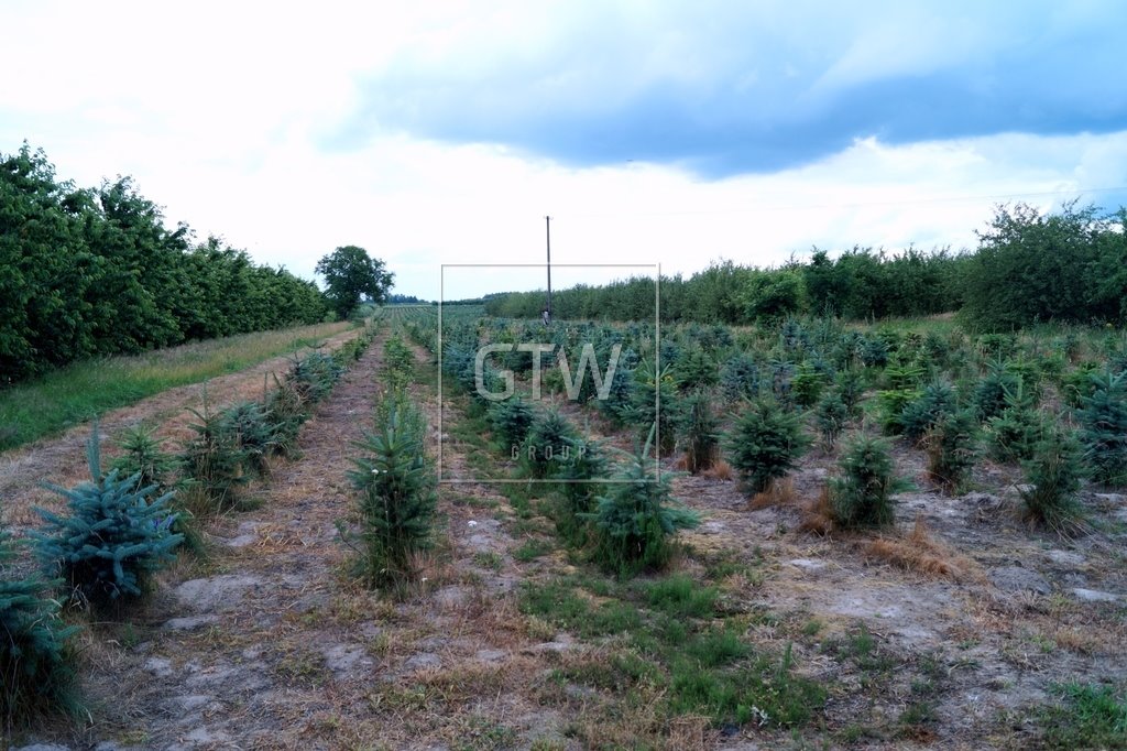 Działka rolna na sprzedaż Miedzechów  39 300m2 Foto 2