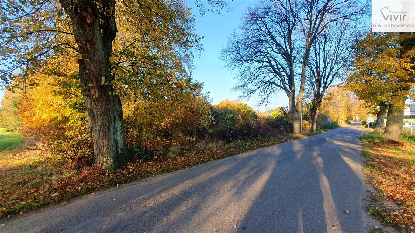 Działka inna na sprzedaż Rumsko  26 811m2 Foto 3