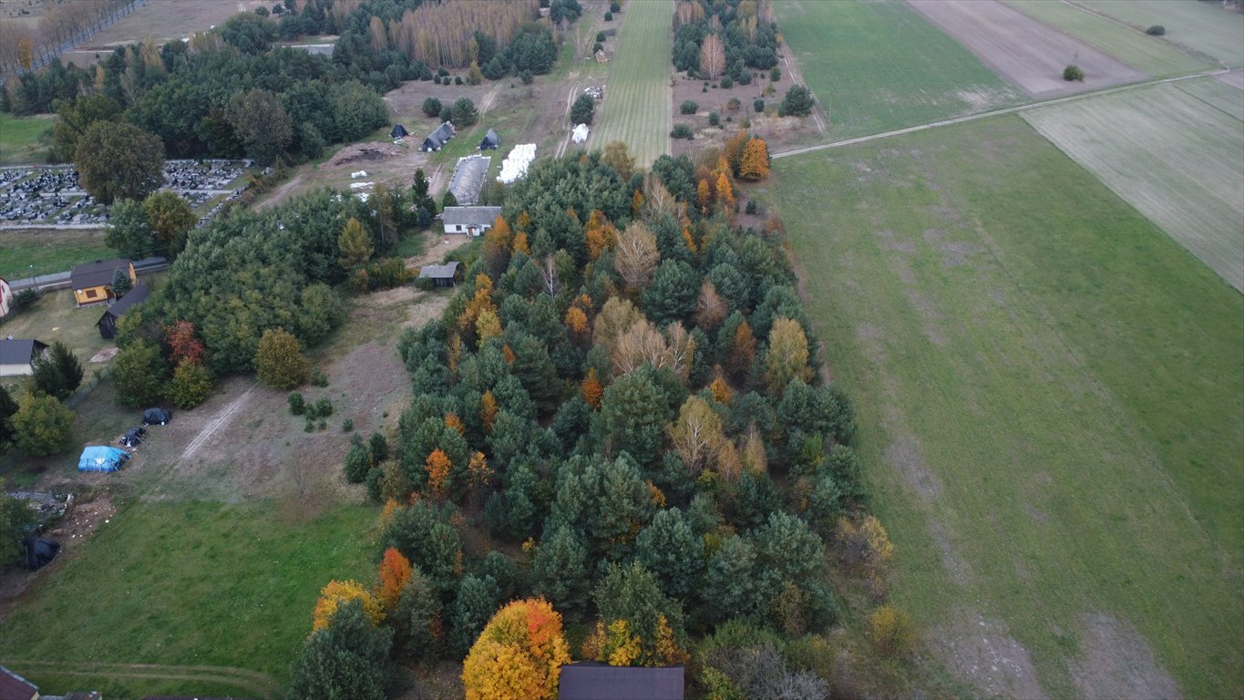 Działka budowlana na sprzedaż Cielętniki  13 500m2 Foto 9