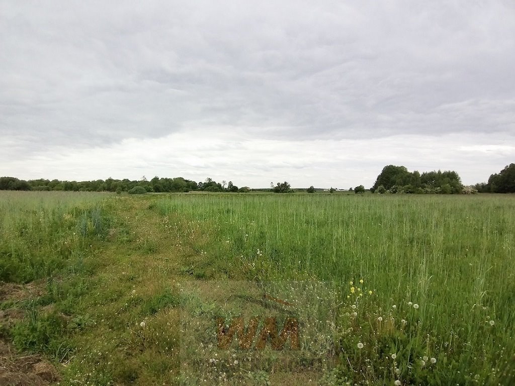 Działka 3,09 ha pod siedlisko, agroturystykę lub konie Jasieniec  30 900m2 Foto 1