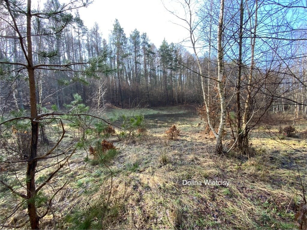 Działka siedliskowa na sprzedaż Szczodrowo  30 600m2 Foto 7