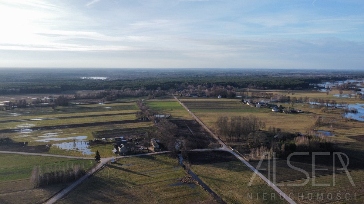 Działka budowlana na sprzedaż Grądy Szlacheckie  9 800m2 Foto 8