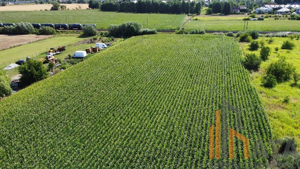 Działka budowlana na sprzedaż Iwiny  10 200m2 Foto 1