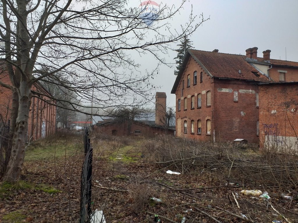 Lokal użytkowy na sprzedaż Mrągowo, Wolności  4 352m2 Foto 7