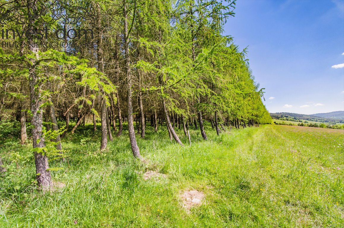 Działka leśna na sprzedaż Brunary  30 301m2 Foto 11