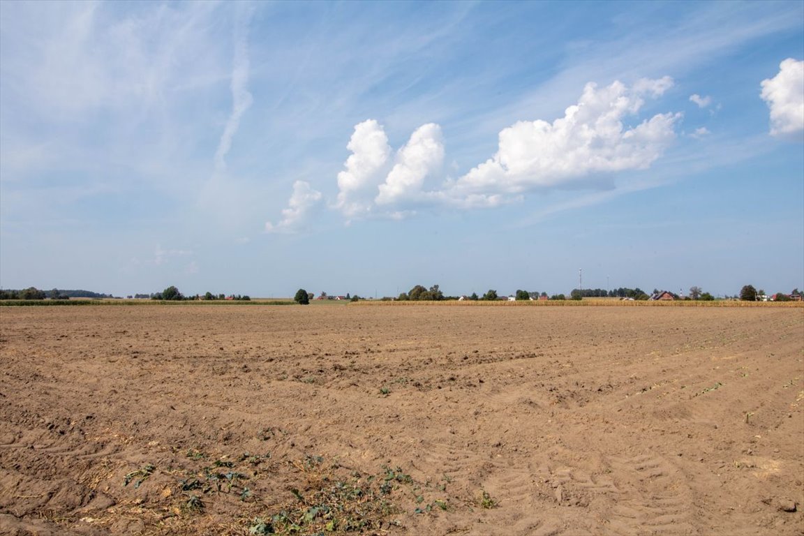 Działka przemysłowo-handlowa na sprzedaż Ciasna, Nowy Dwór  5 093m2 Foto 6