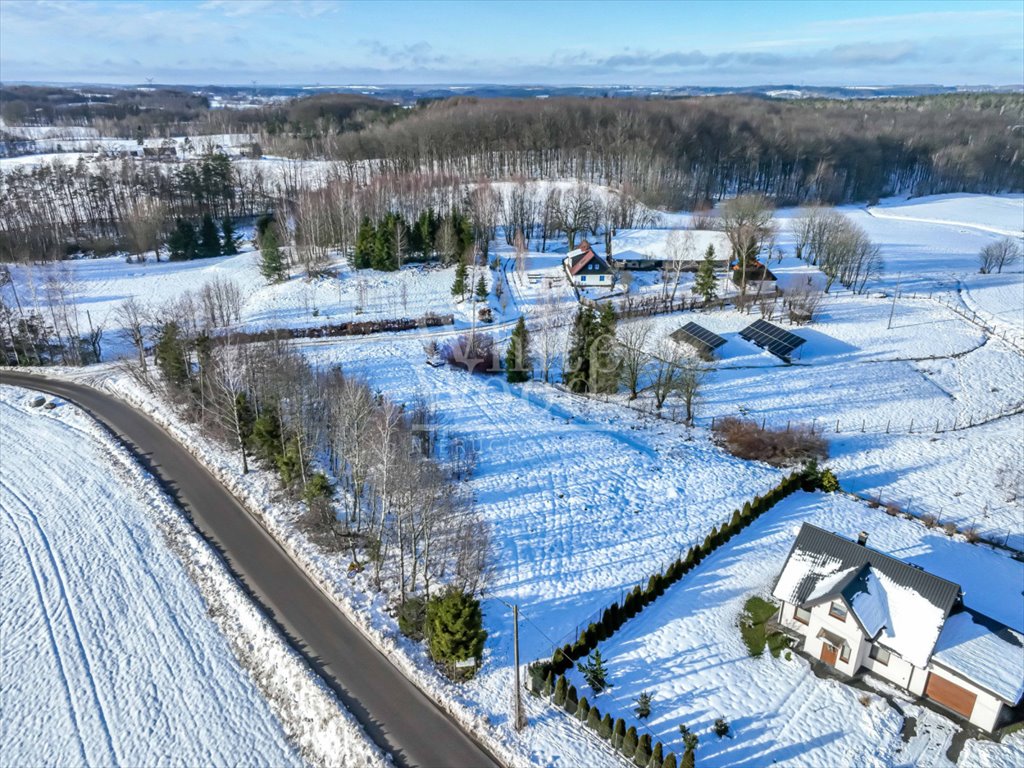 Działka budowlana na sprzedaż Jeleńska Huta  2 736m2 Foto 7