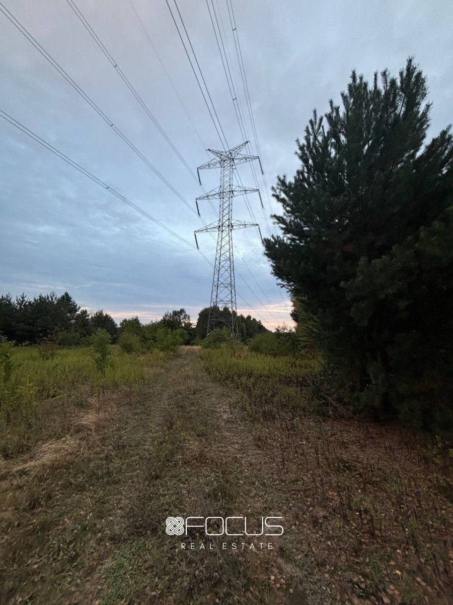 Działka budowlana na sprzedaż Józefów, Szkolna  20 000m2 Foto 4