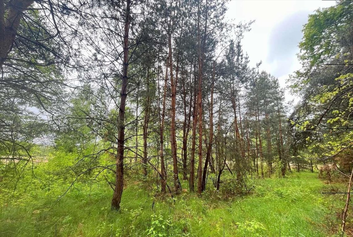 Działka rekreacyjna na sprzedaż Szarbków  400m2 Foto 1