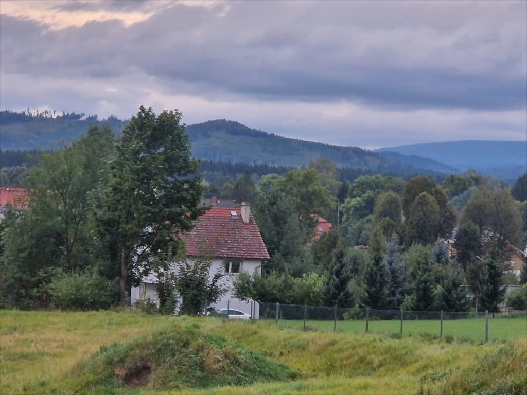 Działka budowlana na sprzedaż Krzeszów  1 088m2 Foto 4