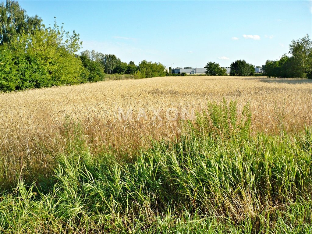 Działka budowlana na sprzedaż Płońsk  7 016m2 Foto 21