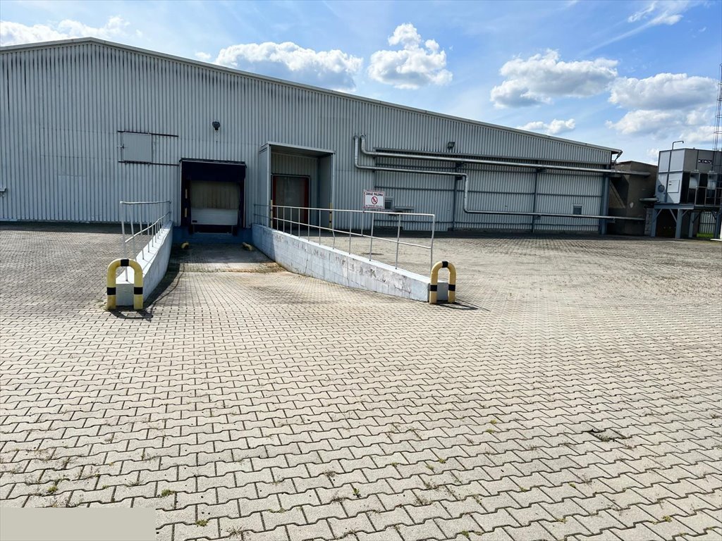 Polecam kompleks produkcyjno-magazynowy 5300 m² w Czarnowicach Czarnowice  5 300m2 Foto 1