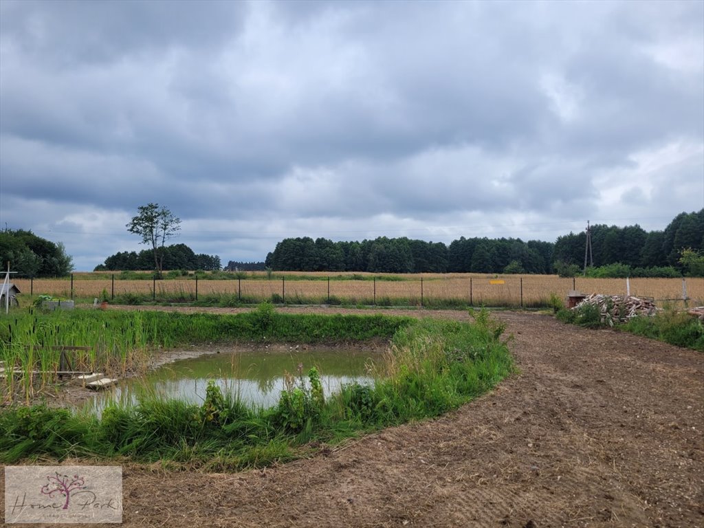 Dom na sprzedaż Biała  225m2 Foto 4