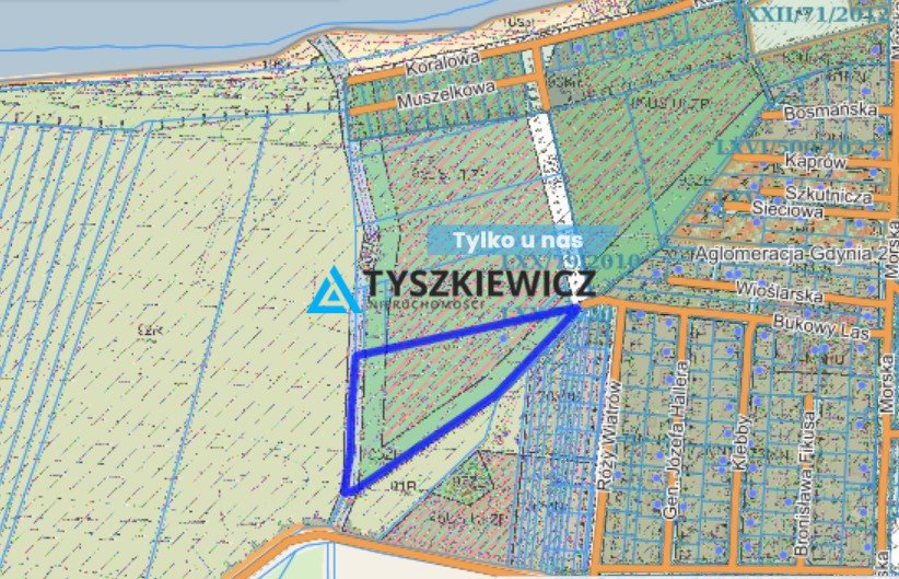 Działka rekreacyjna na sprzedaż Rewa, Bukowy Las  15 200m2 Foto 1