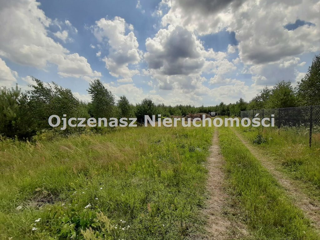 Działka budowlana 2850 m² z warunkami zabudowy, dostęp do drogi Buszkowo  2 850m2 Foto 1