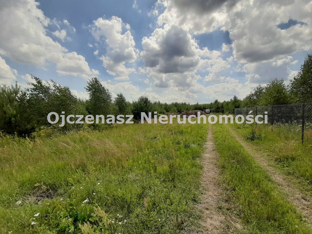 Działka budowlana na sprzedaż Buszkowo  2 850m2 Foto 1