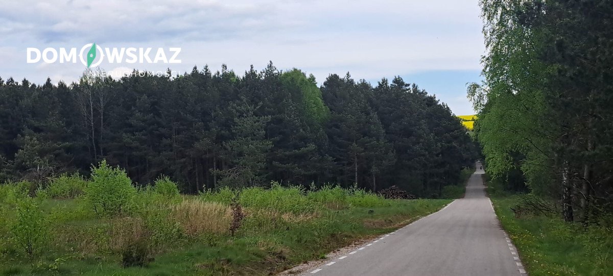 Działka leśna na sprzedaż Ogorzelnik  16 492m2 Foto 6