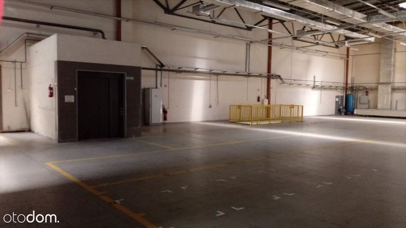 Lokal użytkowy na wynajem BEZPOSRENIO - Magazyn Białystok 2700 m2 - wys. 11m 2 700m2 Foto 1 Lokal użytkowy na wynajem BEZPOSRENIO - Magazyn Białystok 2700 m2 - wys. 11m 2 700m2 Foto 1
