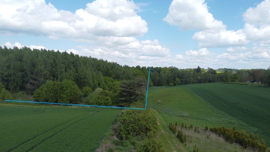 Duża działka 2,15 ha z widokiem, zadrzewiona, Nałęczów Chruszczów-Kolonia  20 150m2 Foto 1