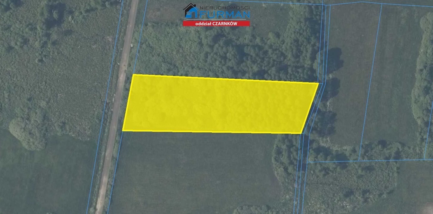 Działka rolna 0,76 ha z łąkami i nieużytkami w Gajewie Gajewo  7 600m2 Foto 1