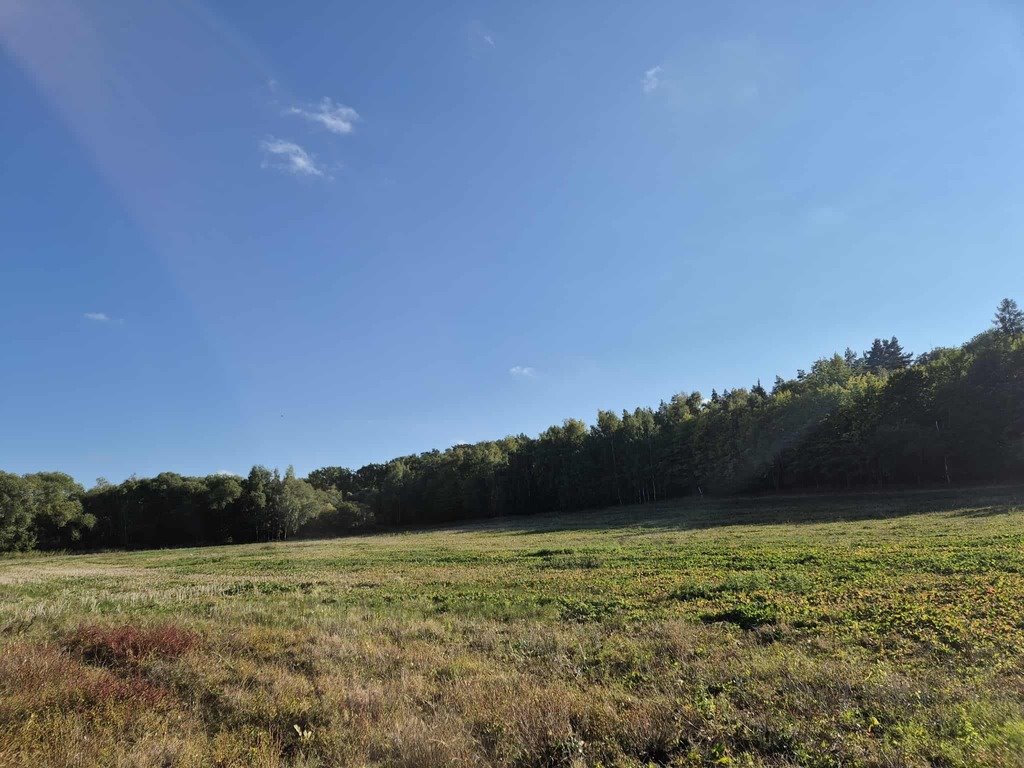 Działka budowlana 5,4 ha z lasem, podziałem i możliwością zapraszam Świebodzice  54 058m2 Foto 1