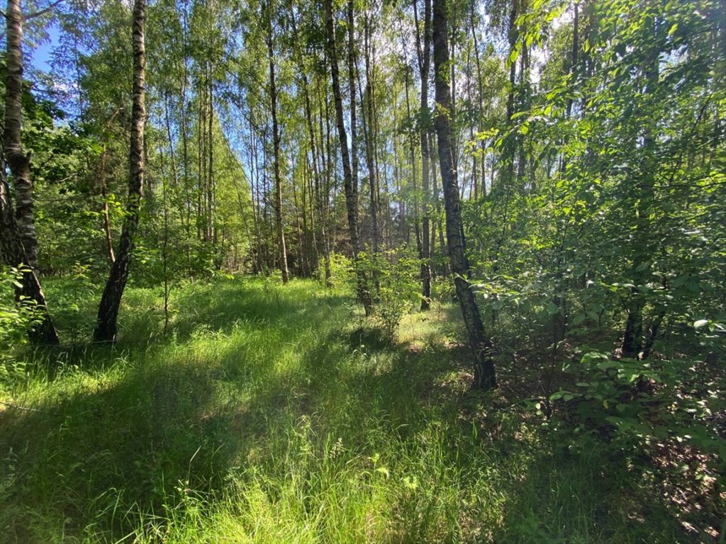 Działka rekreacyjna na sprzedaż Grotowice  33 300m2 Foto 11