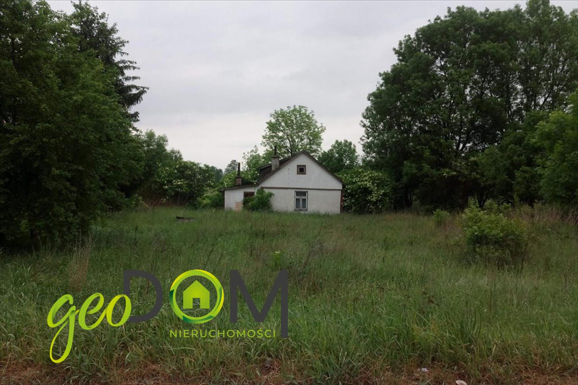 Działka 6800 m² z możliwością podziału, blisko Chełma Staw  6 800m2 Foto 1