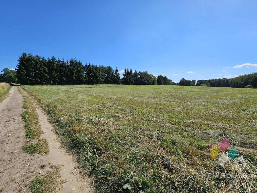 Działka budowlana na sprzedaż Harsz, Nowy Harsz  2 171m2 Foto 4