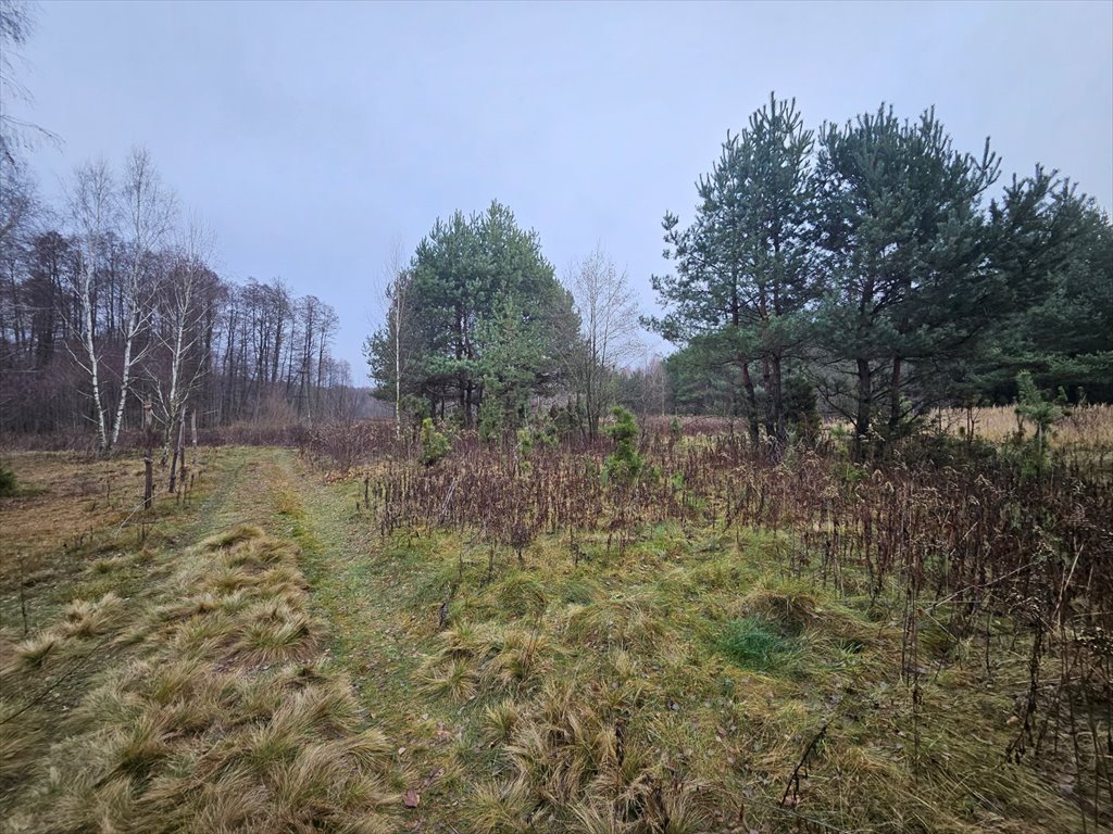 Działka rolna na sprzedaż Stare Babice, Mariew  1 500m2 Foto 7