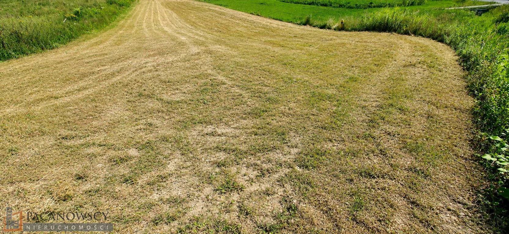 Zapraszam do zakupu działki 6 800 m² w Węgrzcach Węgrzce  6 800m2 Foto 1