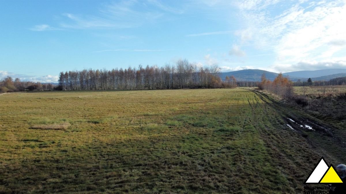 Działka budowlana na sprzedaż Wolimierz  6 000m2 Foto 9