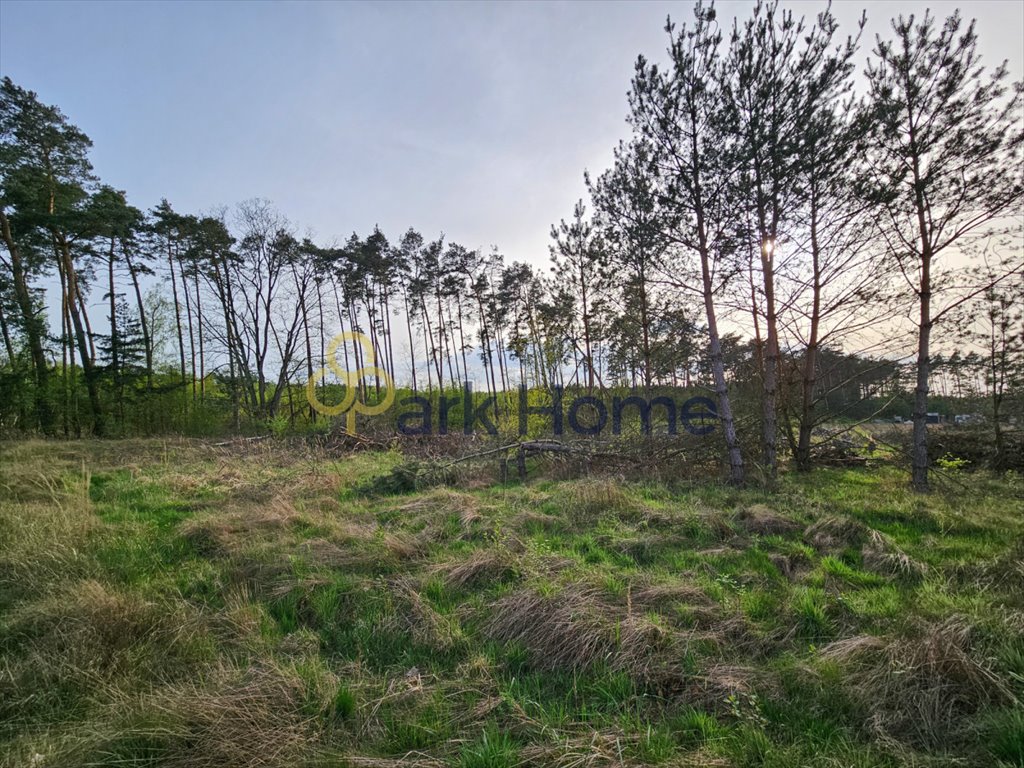 Działka budowlana na sprzedaż Niwiska  2 179m2 Foto 1