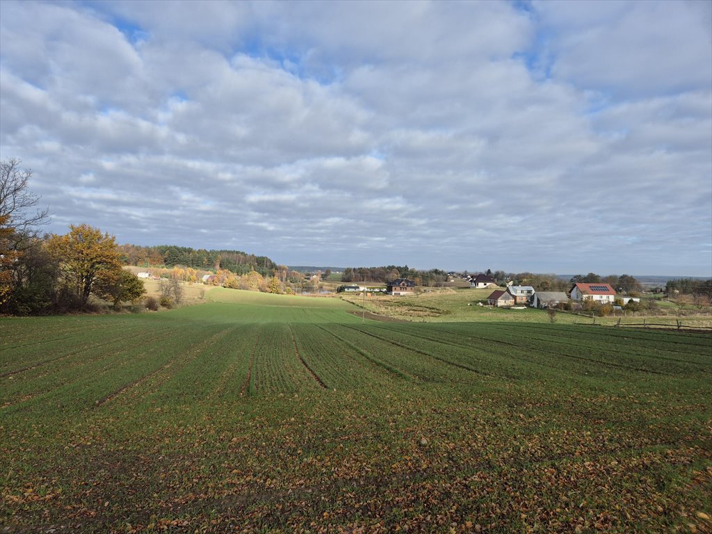 Działka budowlana na sprzedaż Barłomino  10 400m2 Foto 10