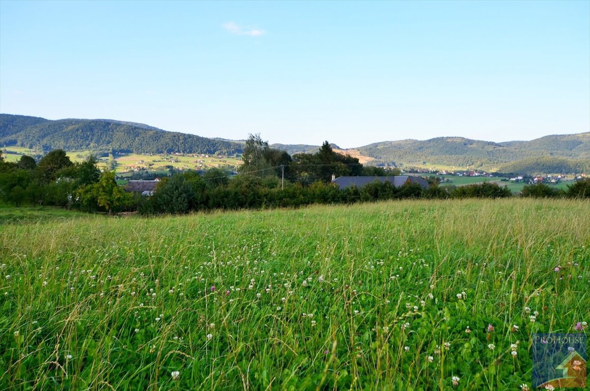 Działka w Męcinie 1397 m2, media, spokojna okolica Męcina  1 397m2 Foto 1