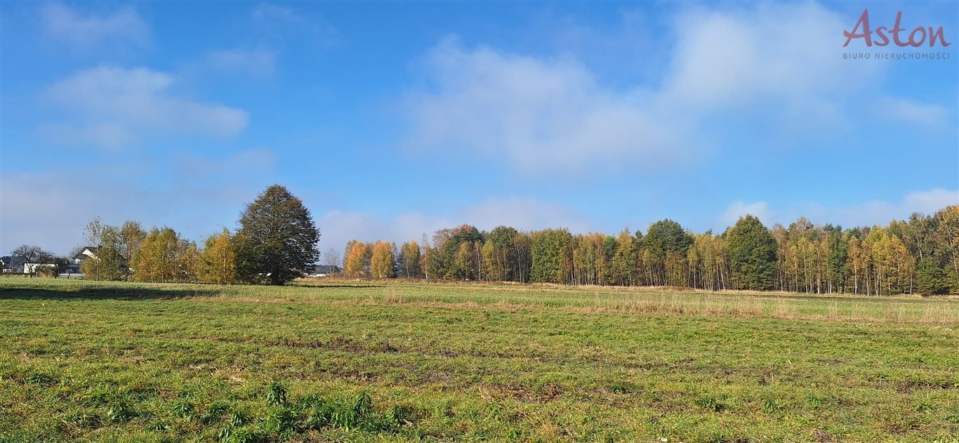 Działka inna na sprzedaż Nowe Bojszowy  841m2 Foto 7