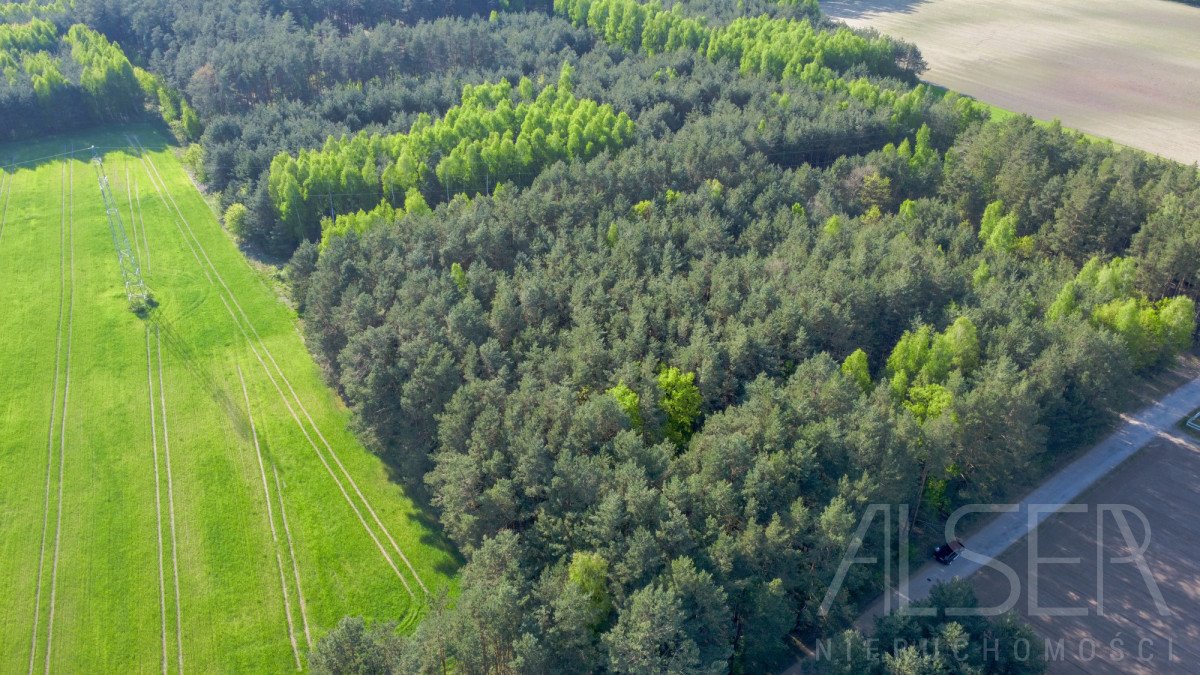 Działka rekreacyjna na sprzedaż Nowe Bosewo, Lipnik  1 245m2 Foto 11