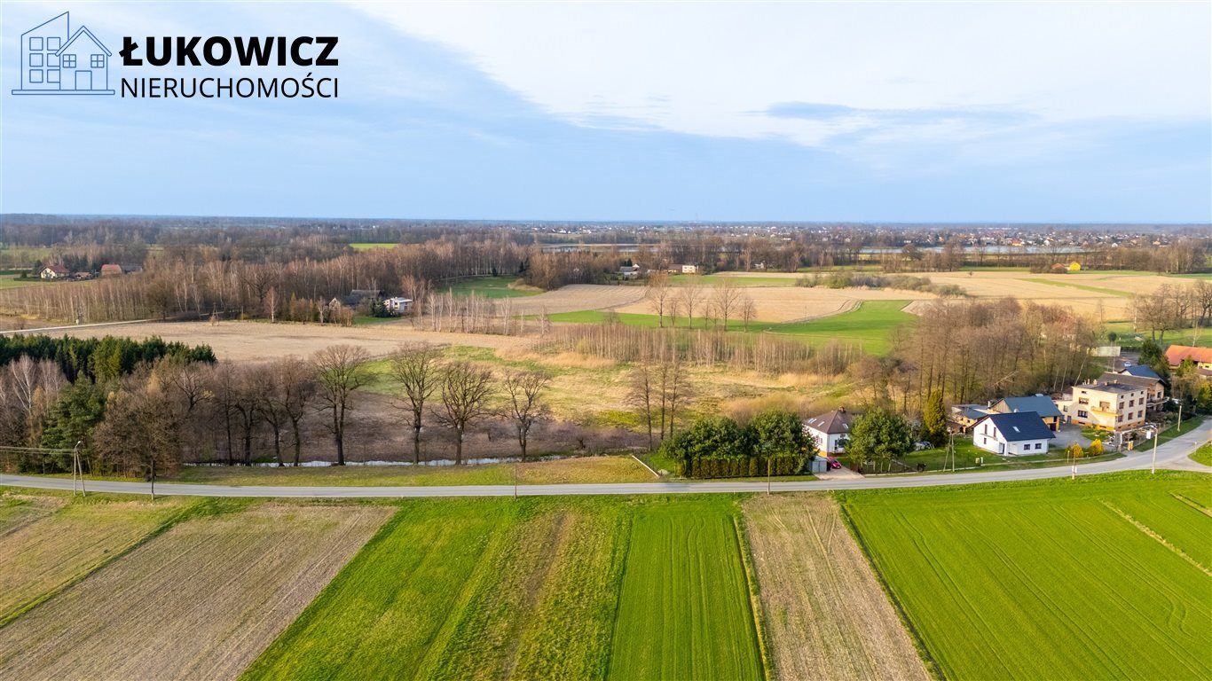 Działka budowlana na sprzedaż Dankowice  3 099m2 Foto 4