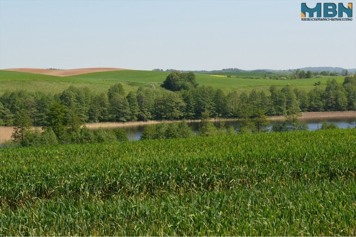 Działka inna na sprzedaż Marcinowa Wola, Marcinowa Wola  6 038m2 Foto 9