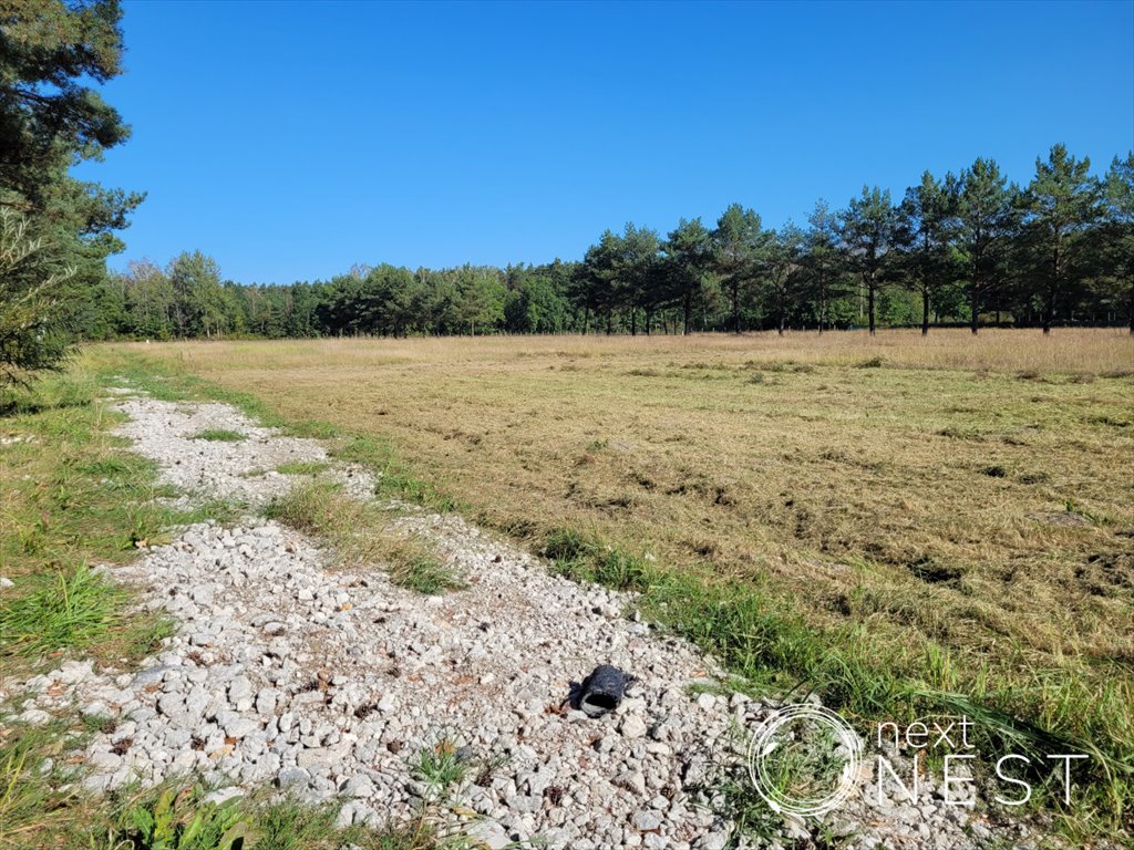 Dom na sprzedaż Piskórka  125m2 Foto 8