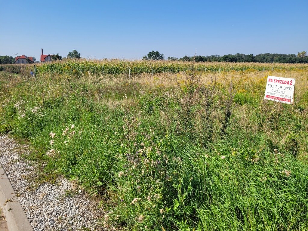 Działka budowlana na sprzedaż Borów  4 925m2 Foto 15