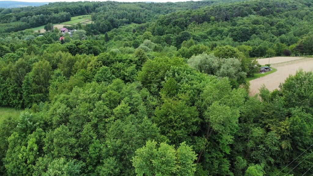 Działka inna na sprzedaż Rzeszów, Budziwój, Liliowa  2 900m2 Foto 5