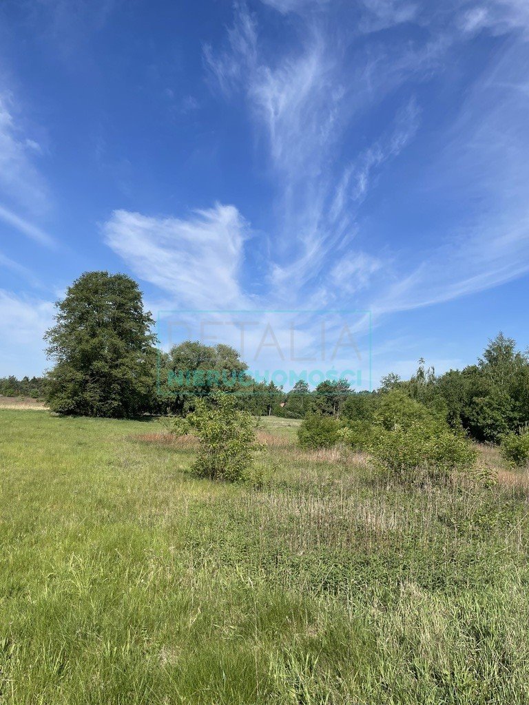 Działka budowlana na sprzedaż Walendów  1 000m2 Foto 3