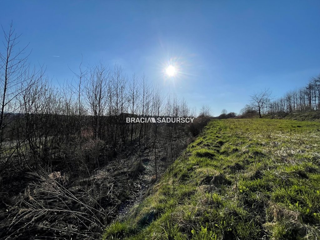 Działka rolna na sprzedaż Podstolice  3 500m2 Foto 8