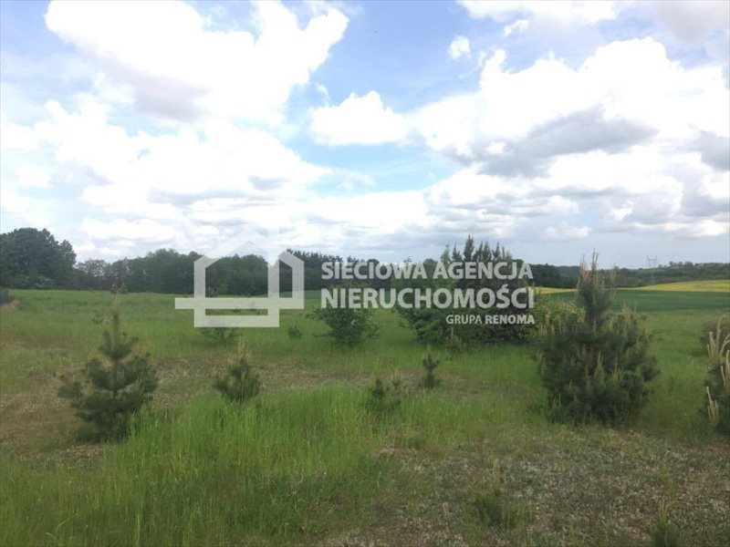 Działka budowlana na sprzedaż Trąbki Małe 3 207m2 Foto 1 Działka budowlana na sprzedaż Trąbki Małe 3 207m2 Foto 1