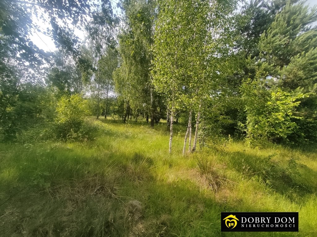 Działka siedliskowa na sprzedaż Michnówka  14 140m2 Foto 3