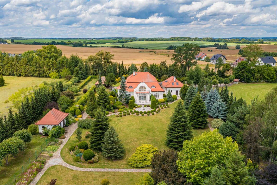 Ekskluzywny dworek 330 m² na dużej działce 5000 m² w Straszynie Straszyn  330m2 Foto 1