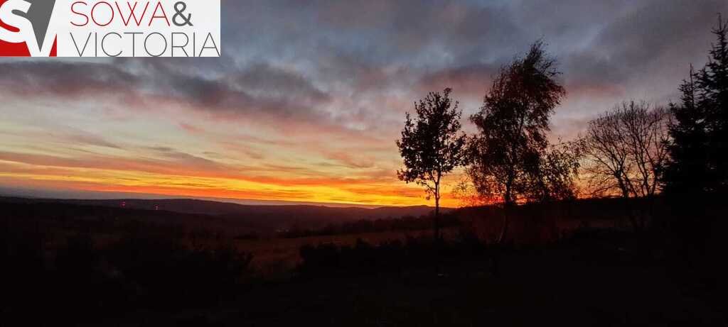 Działka budowlana na sprzedaż Sierpnica  1 078m2 Foto 13